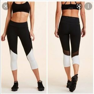 Alala Fitness Crop w/ mesh